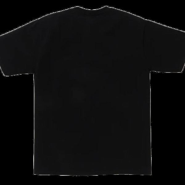 베이프 온라인 한정 베이프 닷컴 칼리지 베이펙스 반팔티 2컬러 1L25110007