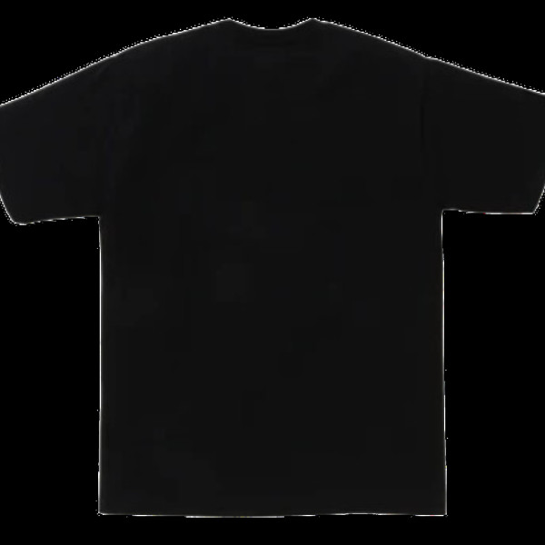 베이프 온라인 한정 포일 칼리지 링 베이펙스 반팔티 블랙 1L25110001