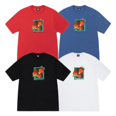 스투시 BERRIES 티셔츠 4컬러 1905108