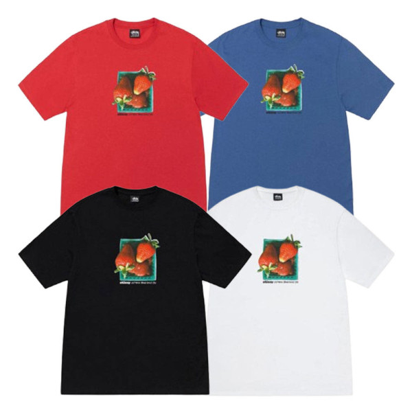스투시 BERRIES 티셔츠 4컬러 1905108