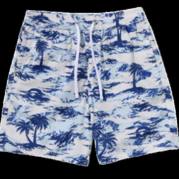 베이프 팜트리 카모 릴렉스핏 비치 반바지 3컬러 1L30153312