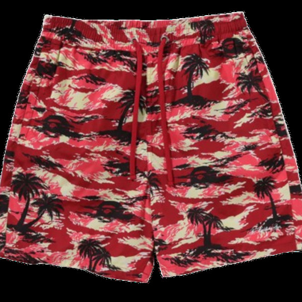 베이프 팜트리 카모 릴렉스핏 비치 반바지 3컬러 1L30153312