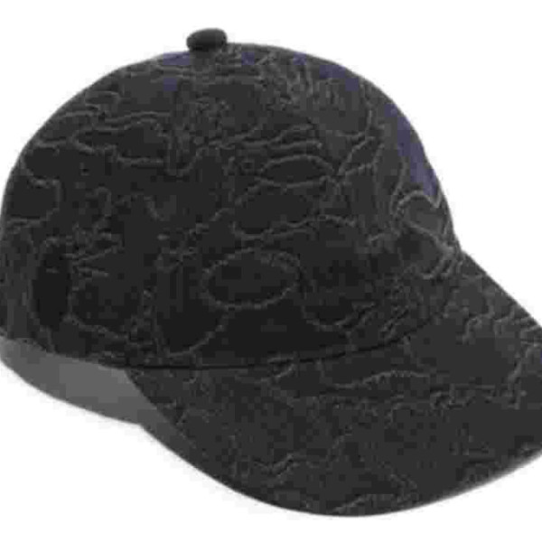 베이프 라인 카모 자카드 멀티 로고 데님 캡 2컬러 1L30180302